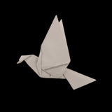 Charles Ng Signed Origami