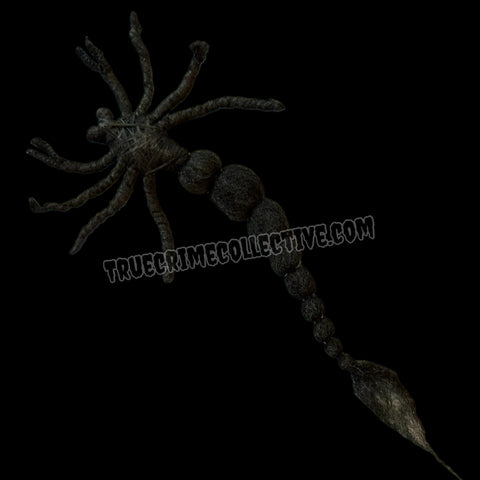 Charles Manson String Art Scorpion