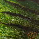 Keith Hunter Jesperson “Sleeping Tiger” Artwork