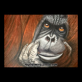 Keith Hunter Jesperson Artwork